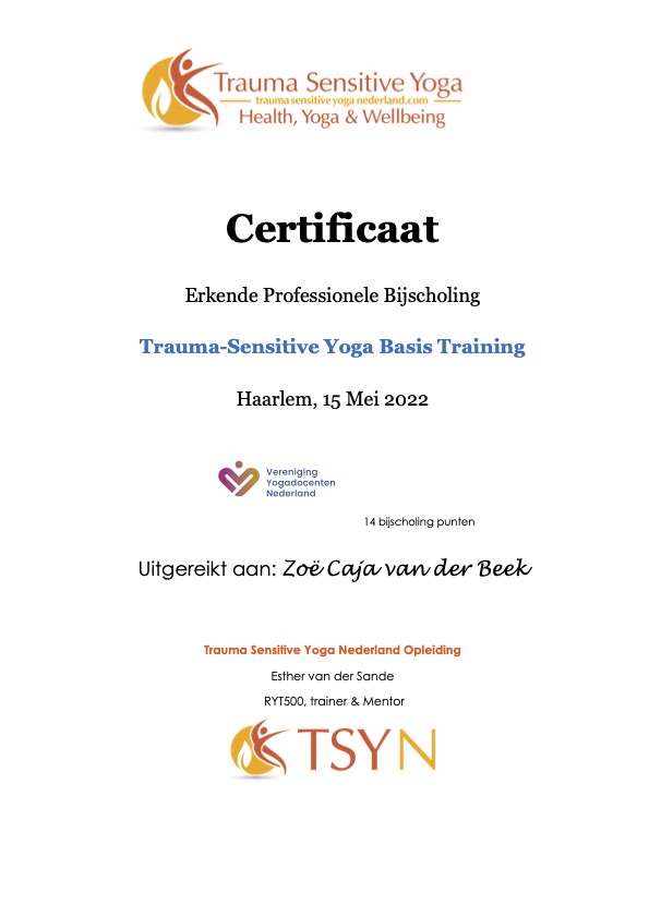 ImageTrauma-Sensitive-Yoga-Basis-TrainingTrauma-Sensitive-Yoga-Basis-Training_4172.png